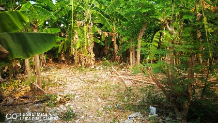 ขาย ที่ดิน ต่ำกว่าราคาประเมิน 234 ตร.วา หมู่บ้านวิโรจน์วิลล์ บางบัวทอง นนทบุรี รูปที่ 9