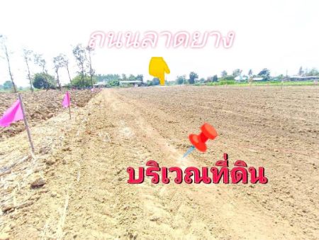 ขาย ที่ดิน โปรผ่อนฟรีดอก 6เดือน 
หรือซื้อสดเลือกรับบ้านซุ้มไม้ไผ่โครงการทุ่งลูกนก 100 ตร.วา ใกล้แหล่งความเจริญ รูปที่ 5