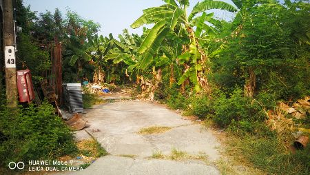 ขาย ที่ดิน ต่ำกว่าราคาประเมิน 234 ตร.วา หมู่บ้านวิโรจน์วิลล์ บางบัวทอง นนทบุรี รูปที่ 8
