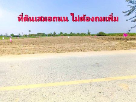 ขาย ที่ดิน โปรผ่อนฟรีดอก 6เดือน 
หรือซื้อสดเลือกรับบ้านซุ้มไม้ไผ่โครงการทุ่งลูกนก 100 ตร.วา ใกล้แหล่งความเจริญ รูปที่ 6