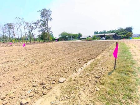 ขาย ที่ดิน โปรผ่อนฟรีดอก 6เดือน 
หรือซื้อสดเลือกรับบ้านซุ้มไม้ไผ่โครงการทุ่งลูกนก 100 ตร.วา ใกล้แหล่งความเจริญ รูปที่ 4