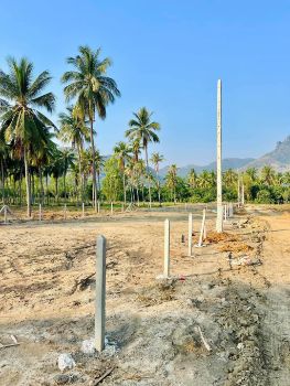 ขาย ที่ดิน โอนกรรมสิทธิ์ฟรีนัชชา แลนด์ 100 ตร.วา ทำเลพูลวิลล่า ใกล้หัวหิน รูปที่ 6