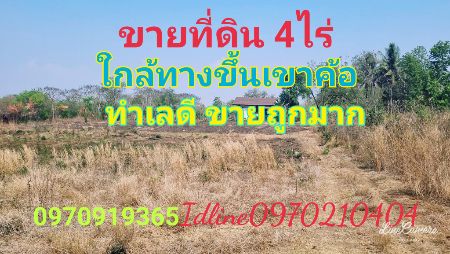 ขาย ที่ดิน แหล่งท่องเที่ยว 4 ไร่ ใกล้ทางขึ้นเขาค้อ เพชรบูรณ์ รูปที่ 1