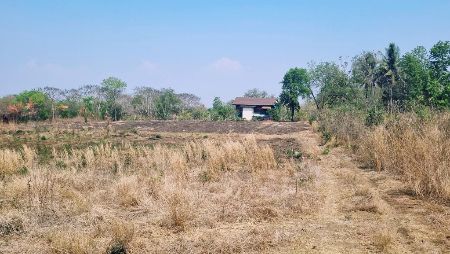 ขาย ที่ดิน แหล่งท่องเที่ยว 4 ไร่ ใกล้ทางขึ้นเขาค้อ เพชรบูรณ์ รูปที่ 3