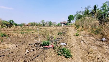 ขาย ที่ดิน แหล่งท่องเที่ยว 4 ไร่ ใกล้ทางขึ้นเขาค้อ เพชรบูรณ์ รูปที่ 4
