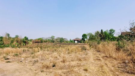 ขาย ที่ดิน แหล่งท่องเที่ยว 4 ไร่ ใกล้ทางขึ้นเขาค้อ เพชรบูรณ์ รูปที่ 2