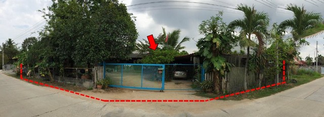 ขายบ้านเดี่ยว                บางละมุง ชลบุรี (PKT91630) รูปที่ 1