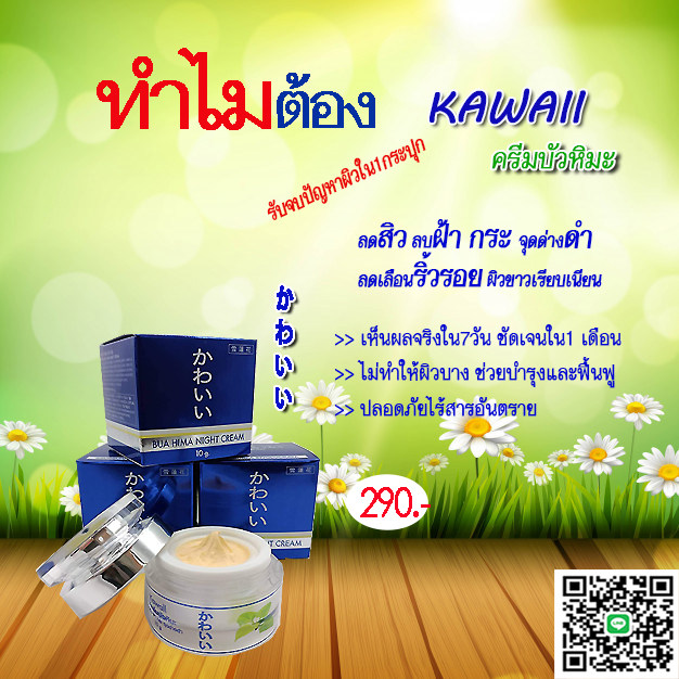 Kawaiiคาวาอื รับตัวแทนกระจายสินค้า รูปที่ 2