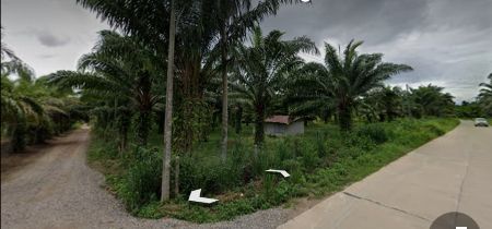 ขาย ที่ดิน สวนปาล์ม ติดถนน มีแหล่งน้ำขนาดใหญ่ 56 ไร่ 1 งาน 73 ตร.วา เมืองชุมพร รูปที่ 5