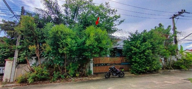 ขายบ้านเดี่ยว       หมู่บ้านปริญสิริ  ชลบุรี (PKT174398, PKT115914) รูปที่ 1