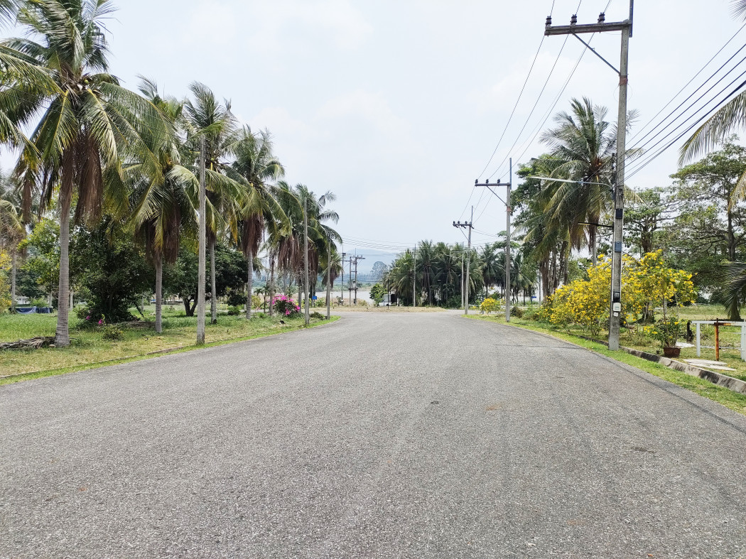 ขายที่ดิน โครงการบ้านเนินน้ำ โครงการติดอ่างเก็บน้ำห้วยขุนจิต แวดล้อมด้วยธรรมชาติสุดๆ รูปที่ 4