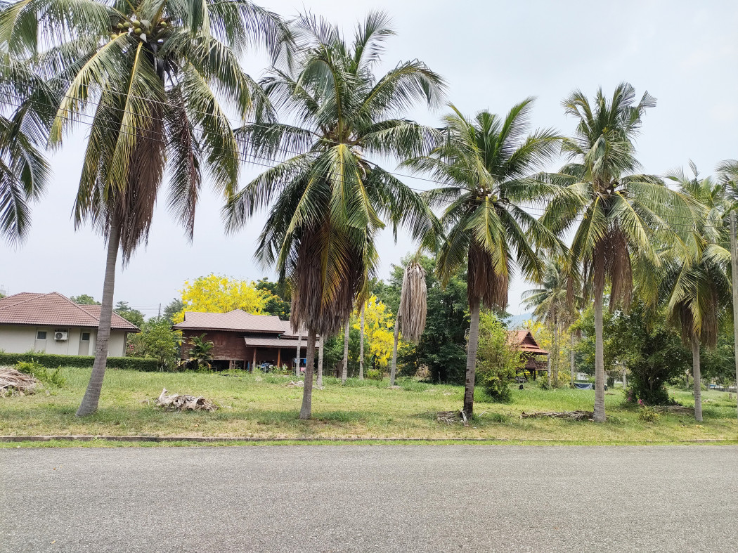 ขายที่ดิน โครงการบ้านเนินน้ำ โครงการติดอ่างเก็บน้ำห้วยขุนจิต แวดล้อมด้วยธรรมชาติสุดๆ รูปที่ 3