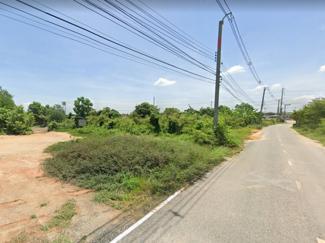 ขายที่ดินแปดริ้ว ติดถนนลาดยาง 146 ตรว. ทำเลดีเหมาะปลูกบ้าน ใกล้ถนนเส้นสุวินทวงศ์ 365 - 100 เมตร เมืองฉะเชิงเทรา รูปที่ 5