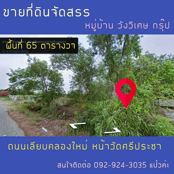 ขายที่ดินจัดสรร ลำตาเสา 65 ตร.ว. อ.วังน้อย พระนครศรีอยุธยา เหมาะสำหรับสร้างบ้าน โทร 092-924-3035 รูปที่ 1