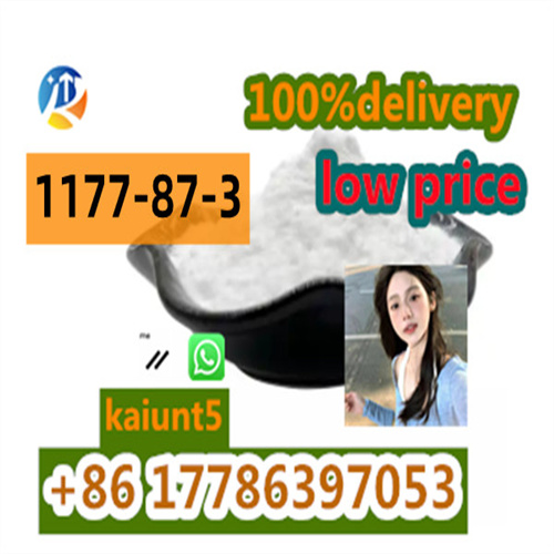Garmany /Australia warehouse cas1177-87-3  with good price . รูปที่ 3