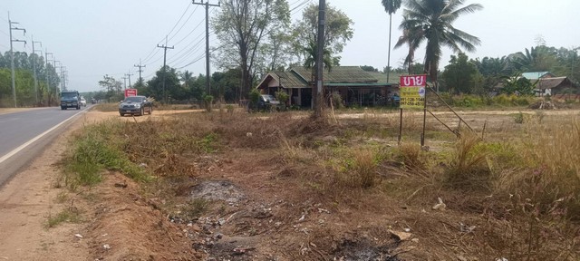 ขายที่ดินสวย 4-1-9ไร่ ติดทางหลวง อ.เซกา - อ.บึงโขงหลง บ้านโนนจำปาทอง จ.บึงกาฬ  ZK085 รูปที่ 1