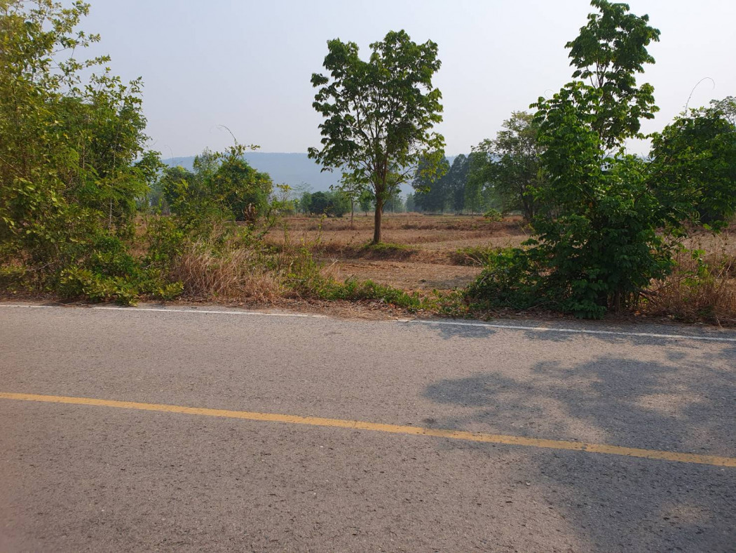 ขาย ที่ดิน แปลงใหญ่ 7 ไร่ 3 งาน 12 ตร.วา จ.หนองบัวลำภู รูปที่ 3