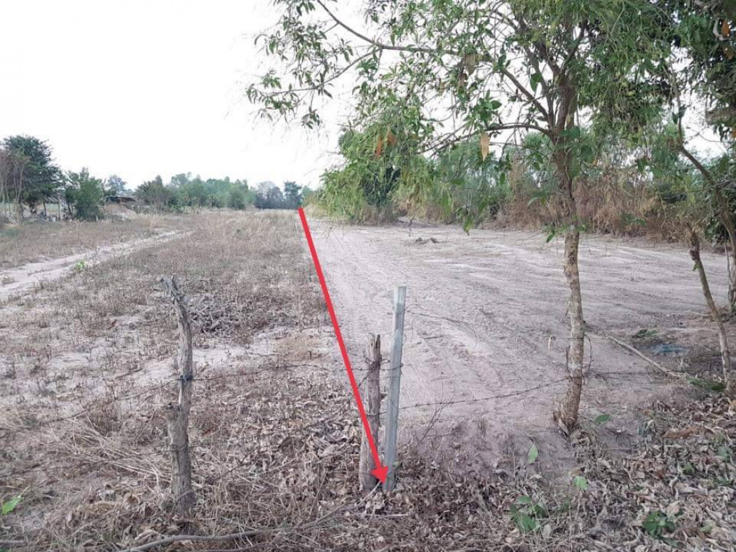 ขาย ที่ดิน ใกล้เมืองอุดรธานี 3 ไร่ 2 งาน 38 ตร.วา เดินทางสะดวก รูปที่ 2