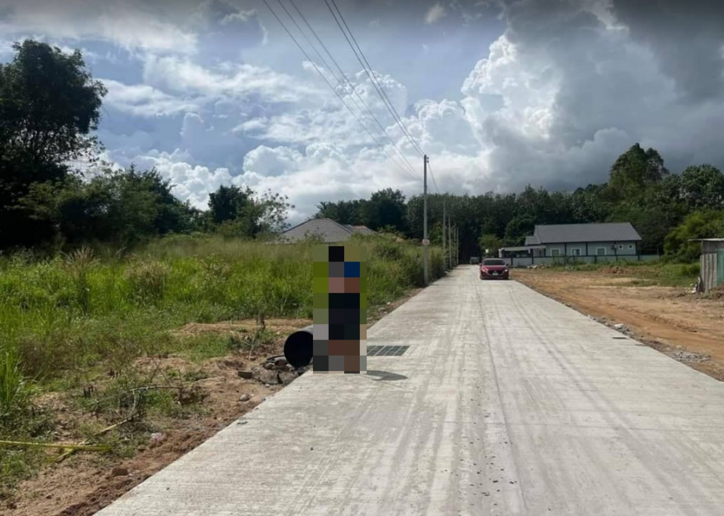 ขายที่ดินสีม่วงอ่อนมาบยางพร 100 ตรว. ติดถ.คอนกรีต หลังนิคมอีสเทิร์นซีบอร์ด ใกล้วัดมาบยางพร - 4.7 กม. อ.ปลวกแดง จ.ระยอง รูปที่ 4