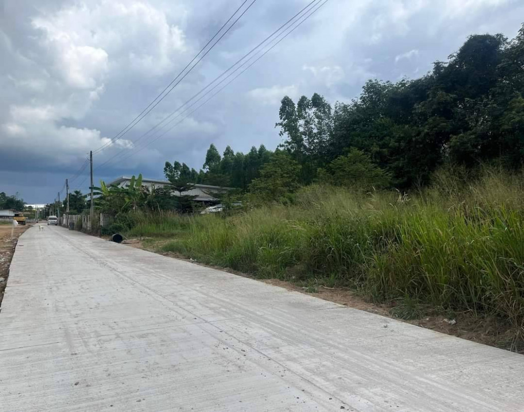 ขายที่ดินสีม่วงอ่อนมาบยางพร 100 ตรว. ติดถ.คอนกรีต หลังนิคมอีสเทิร์นซีบอร์ด ใกล้วัดมาบยางพร - 4.7 กม. อ.ปลวกแดง จ.ระยอง รูปที่ 5