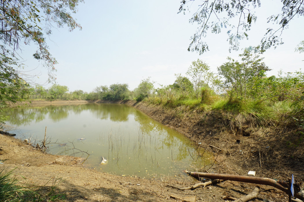 ขาย ที่ดิน หนองยาว สระบุรี 57 ไร่ ใกล้รรนานาชาติเซนต์จอห์นแมรี ทางออกมอเตอร์เวย์สายใหม่ เหมาะทำโครงการจัดสรร ราคาสุดพิเศษ รูปที่ 10