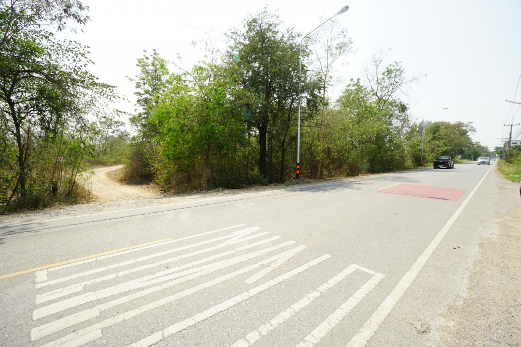 ขาย ที่ดิน หนองยาว สระบุรี 57 ไร่ ใกล้รรนานาชาติเซนต์จอห์นแมรี ทางออกมอเตอร์เวย์สายใหม่ เหมาะทำโครงการจัดสรร ราคาสุดพิเศษ รูปที่ 8
