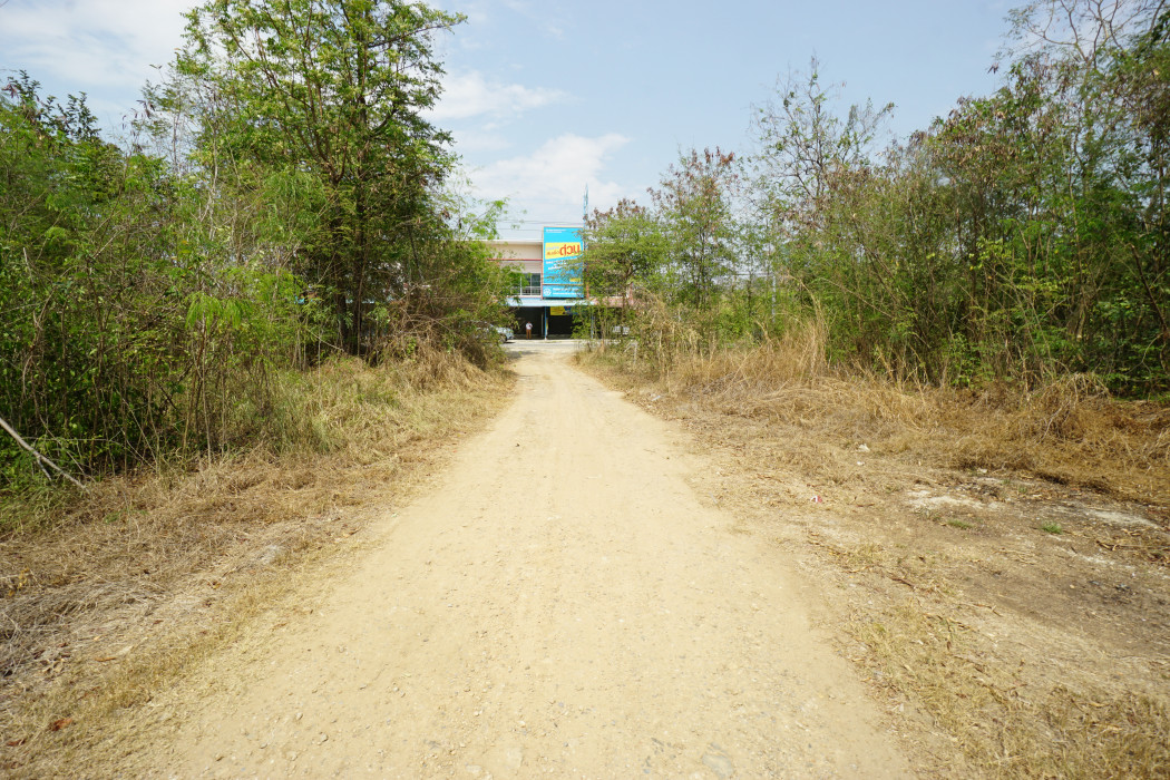 ขาย ที่ดิน หนองยาว สระบุรี 57 ไร่ ใกล้รรนานาชาติเซนต์จอห์นแมรี ทางออกมอเตอร์เวย์สายใหม่ เหมาะทำโครงการจัดสรร ราคาสุดพิเศษ รูปที่ 9