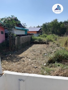 ขาย ที่ดิน ขายด่วน ที่ดิน  ทำเลดี ใกล้วัดหลวงพ่อโต บางพลี 61.5 ตร.วา รูปที่ 3