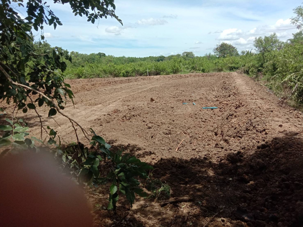 ขาย ที่ดิน ขายที่ดินเปล่าทำเลเยี่ยม คัดสรรแล้ว  - 2 งาน 52.8 ตร.วา เหมาะสำหรับ เป็นที่อยู่อาศัย หรือเก็งกำไรในอนาคต รูปที่ 4
