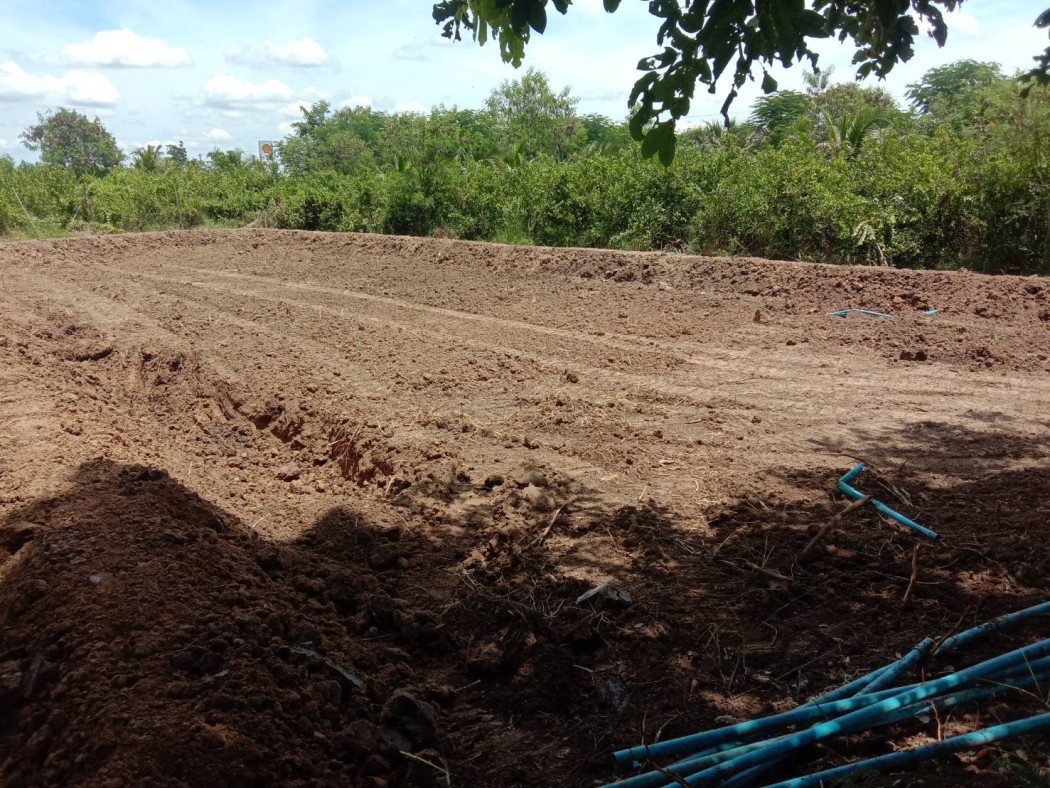 ขาย ที่ดิน ขายที่ดินเปล่าทำเลเยี่ยม คัดสรรแล้ว  - 2 งาน 52.8 ตร.วา เหมาะสำหรับ เป็นที่อยู่อาศัย หรือเก็งกำไรในอนาคต รูปที่ 3