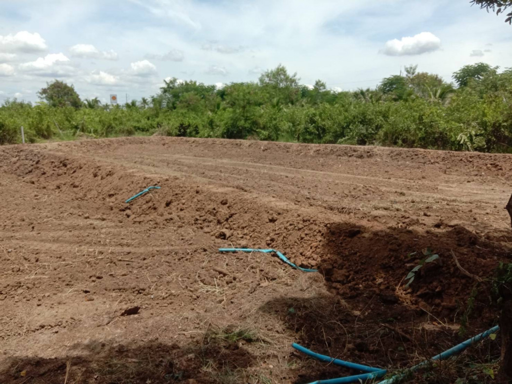 ขาย ที่ดิน ขายที่ดินเปล่าทำเลเยี่ยม คัดสรรแล้ว  - 2 งาน 52.8 ตร.วา เหมาะสำหรับ เป็นที่อยู่อาศัย หรือเก็งกำไรในอนาคต รูปที่ 5