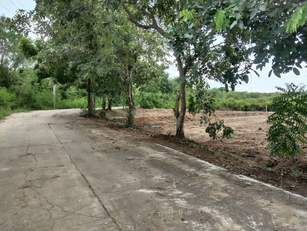 ขาย ที่ดิน ขายที่ดินเปล่าทำเลเยี่ยม คัดสรรแล้ว  - 2 งาน 52.8 ตร.วา เหมาะสำหรับ เป็นที่อยู่อาศัย หรือเก็งกำไรในอนาคต รูปที่ 6