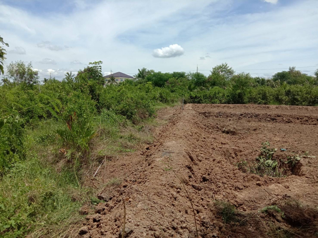 ขาย ที่ดิน ขายที่ดินเปล่าทำเลเยี่ยม คัดสรรแล้ว  - 2 งาน 52.8 ตร.วา เหมาะสำหรับ เป็นที่อยู่อาศัย หรือเก็งกำไรในอนาคต รูปที่ 2