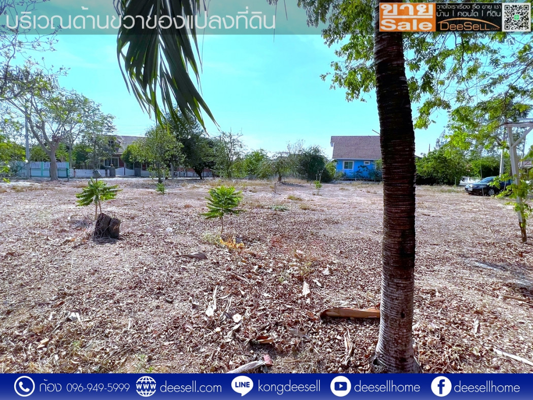 ขายบางชองมารีน่า ที่ดินท่ายาง เพชรบุรี แปลงมุม รูปแปลงสวย 120 ตร.ว.ราคาดีที่สุด รูปที่ 10