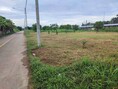 ขายที่ดินแปลงเล็ก ที่ดินเปล่า 1ไร่ 3งาน ติดทาง 2 ด้าน ราคาถูก อยู่ในชุมชน ต.เหมือง เมืองชลบุรี 