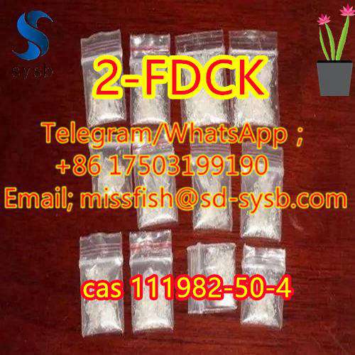 CAS;111982-50-4  2-FDCK  2fdck 2f-dck,2FDCK, 2-fluorodeschloroketamine   In stock รูปที่ 3