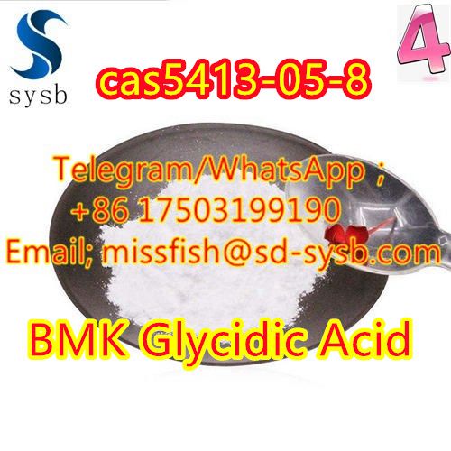  CAS;5413-05-8  BMK Glycidic Acid  Safe arrival รูปที่ 5