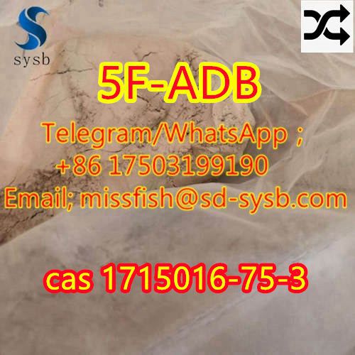 CAS;1715016-75-3  5F-ADB  5F-AKB48 5F-APINACA  4F-ADB  5CL-ADB-A  ADBB   ADB-BINACA รูปที่ 5