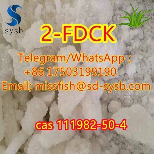 CAS;111982-50-4  2-FDCK  2fdck 2f-dck,2FDCK, 2-fluorodeschloroketamine   In stock รูปที่ 6
