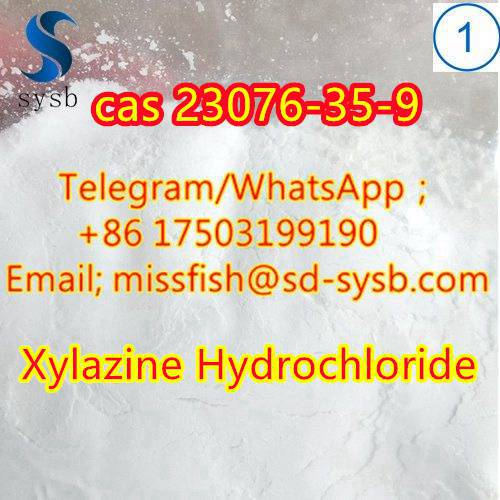 CAS;23076-35-9  Xylazine Hydrochloride  New 'Zen' products  รูปที่ 4