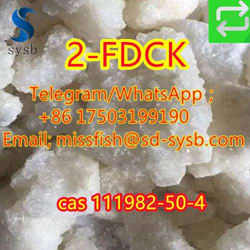 CAS;111982-50-4  2-FDCK  2fdck 2f-dck,2FDCK, 2-fluorodeschloroketamine   In stock รูปที่ 7