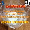 CAS;23076-35-9  Xylazine Hydrochloride  New 'Zen' products 