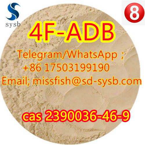 CAS;2390036-46-9  4F-ADB  5F-AKB48 5F-APINACA   5F-ADB   5CL-ADB-A  ADBB   ADB-BINACA รูปที่ 5