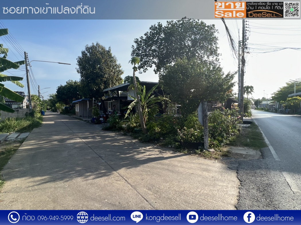 ขายที่ดินนครชัยศรี ศรีษะทอง นครปฐม  342 ตร.ว. ทำเลดี ราคาถูก รูปที่ 3