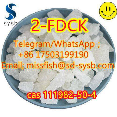 CAS;111982-50-4  2-FDCK  2fdck 2f-dck,2FDCK, 2-fluorodeschloroketamine   In stock รูปที่ 4