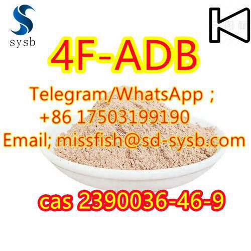 CAS;2390036-46-9  4F-ADB  5F-AKB48 5F-APINACA   5F-ADB   5CL-ADB-A  ADBB   ADB-BINACA รูปที่ 3