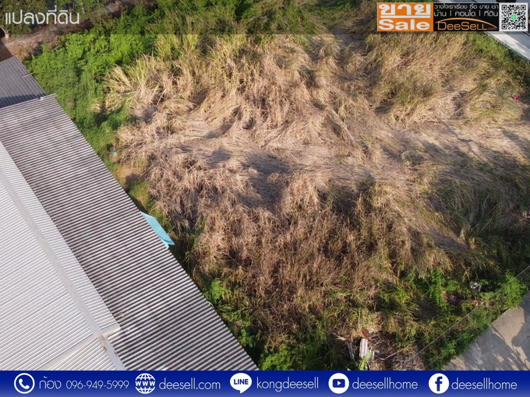 ขายที่ดินนครชัยศรี ศรีษะทอง นครปฐม  342 ตร.ว. ทำเลดี ราคาถูก รูปที่ 5
