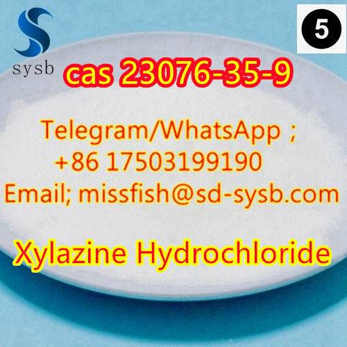 CAS;23076-35-9  Xylazine Hydrochloride  New 'Zen' products  รูปที่ 6