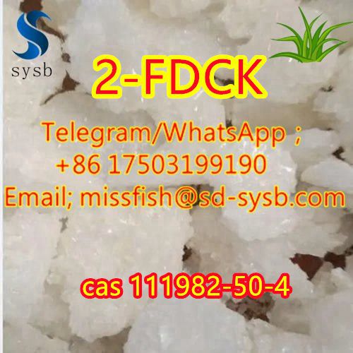 CAS;111982-50-4  2-FDCK  2fdck 2f-dck,2FDCK, 2-fluorodeschloroketamine   In stock รูปที่ 5