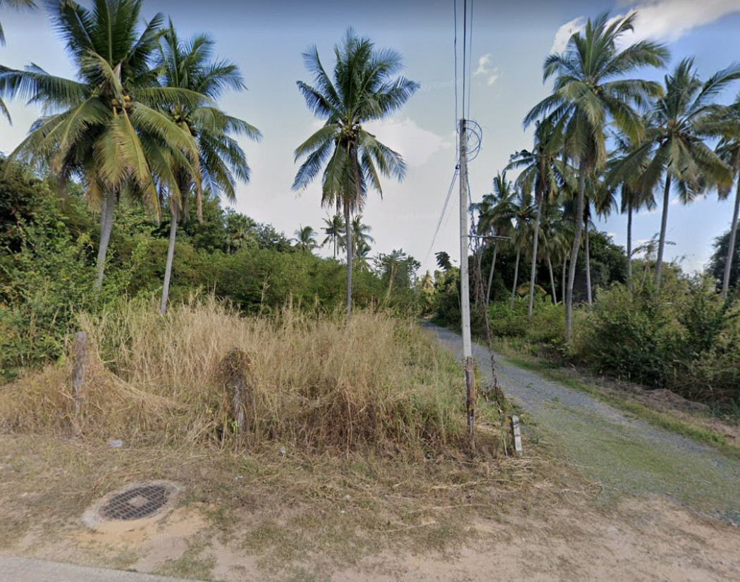 ขายที่ดินคำน้ำแซบสวยๆ ทำเลดี 100 ตรว.ใกล้ โรงพยาบาลและโรงเรียนวารินชำราบ 100 ตรว. จากถนนใหญ่เข้าซอยเพียง 300 เมตร จ.อุบลราชธานี รูปที่ 6